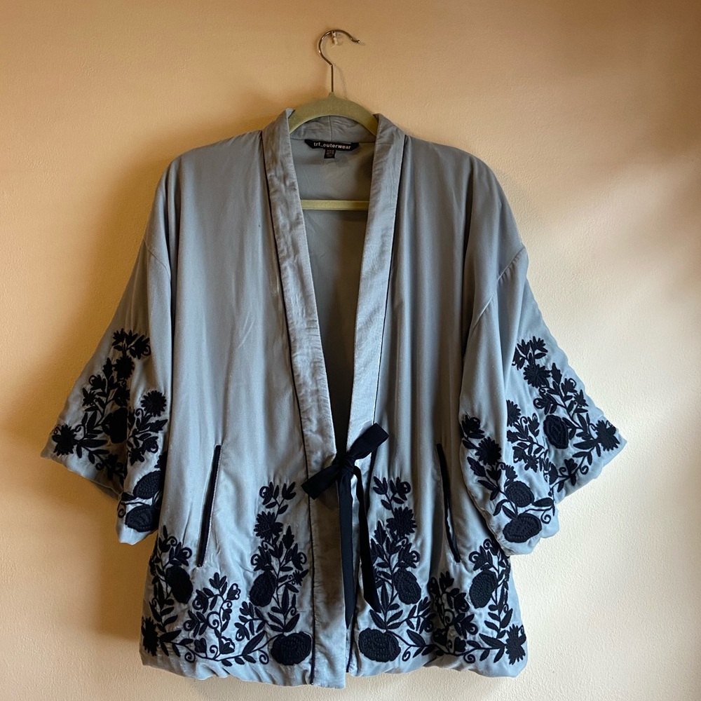 Zara Embroidered Velvet Jacket